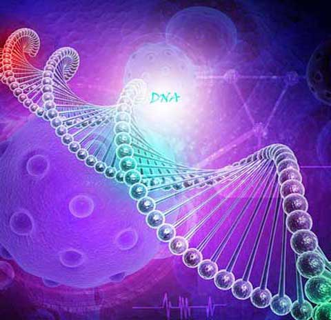 protein helix